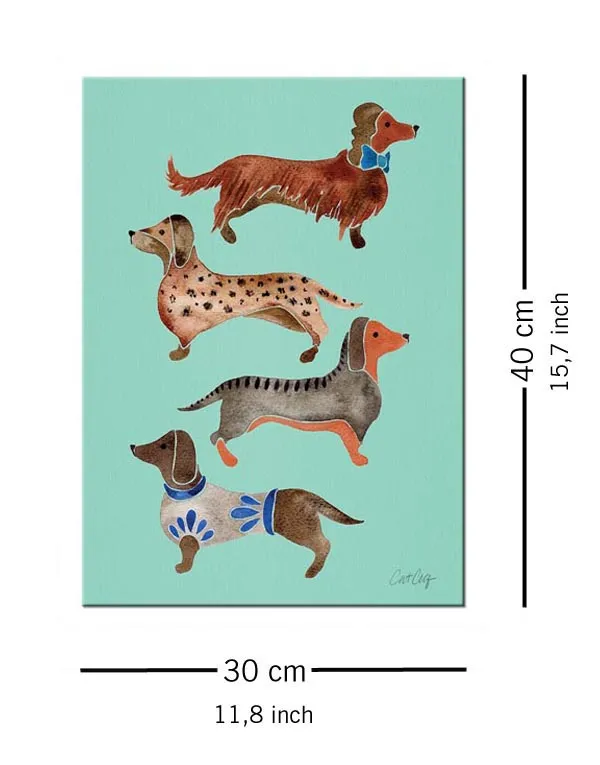 dachshunds-obraz-na-plotnie-30x40-cm