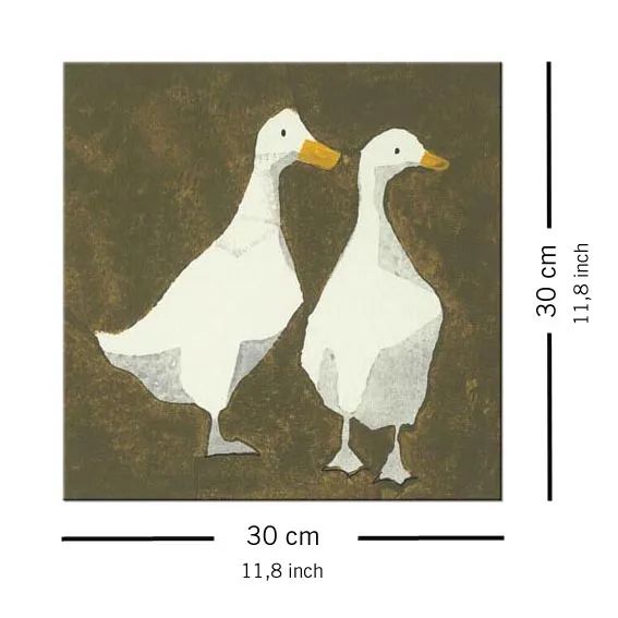 ducks-obraz-na-plotnie-30x30-cm-stan-nowy