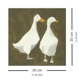 ducks-obraz-na-plotnie-30x30-cm-stan-nowy