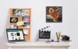 fox-obraz-na-plotnie-30x30-cm-stan-nowy