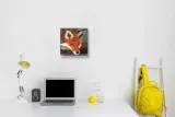 fox-obraz-na-plotnie-30x30-cm-stan-nowy