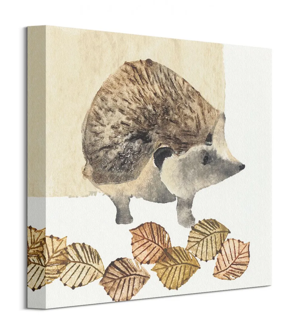 hedgehog-obraz-na-plotnie-30x30-cm