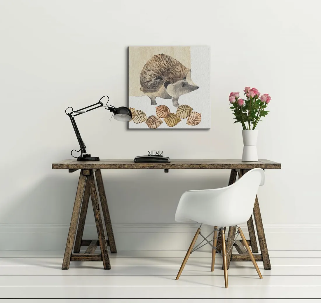 hedgehog-obraz-na-plotnie-30x30-cm-stan-nowy