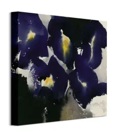 iris-laevigata-obraz-na-plotnie-40x40-cm