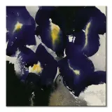 iris-laevigata-obraz-na-plotnie-40x40-cm-stan-nowy