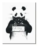 bad-panda-obraz-na-plotnie-40x50-cm-stan-nowy