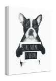 being-normal-is-boring-obraz-na-plotnie-40x50-cm