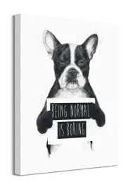 being-normal-is-boring-obraz-na-plotnie-40x50-cm