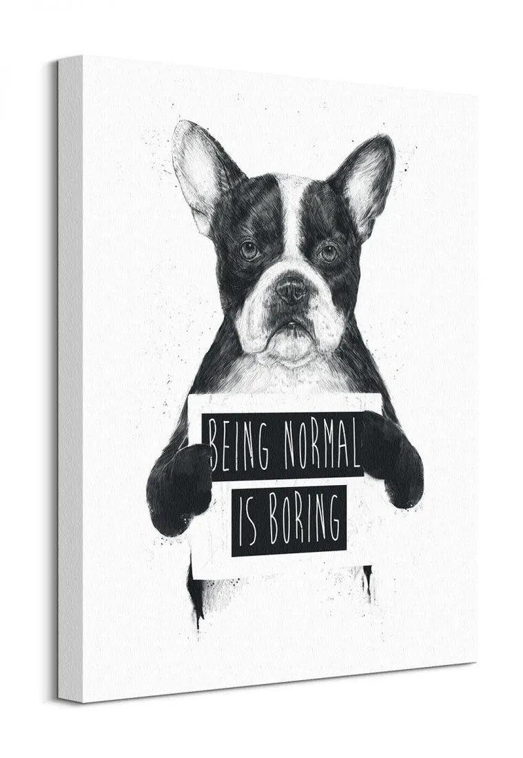 being-normal-is-boring-obraz-na-plotnie-40x50-cm