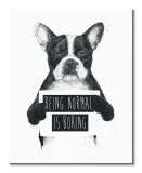 being-normal-is-boring-obraz-na-plotnie-40x50-cm-stan-nowy