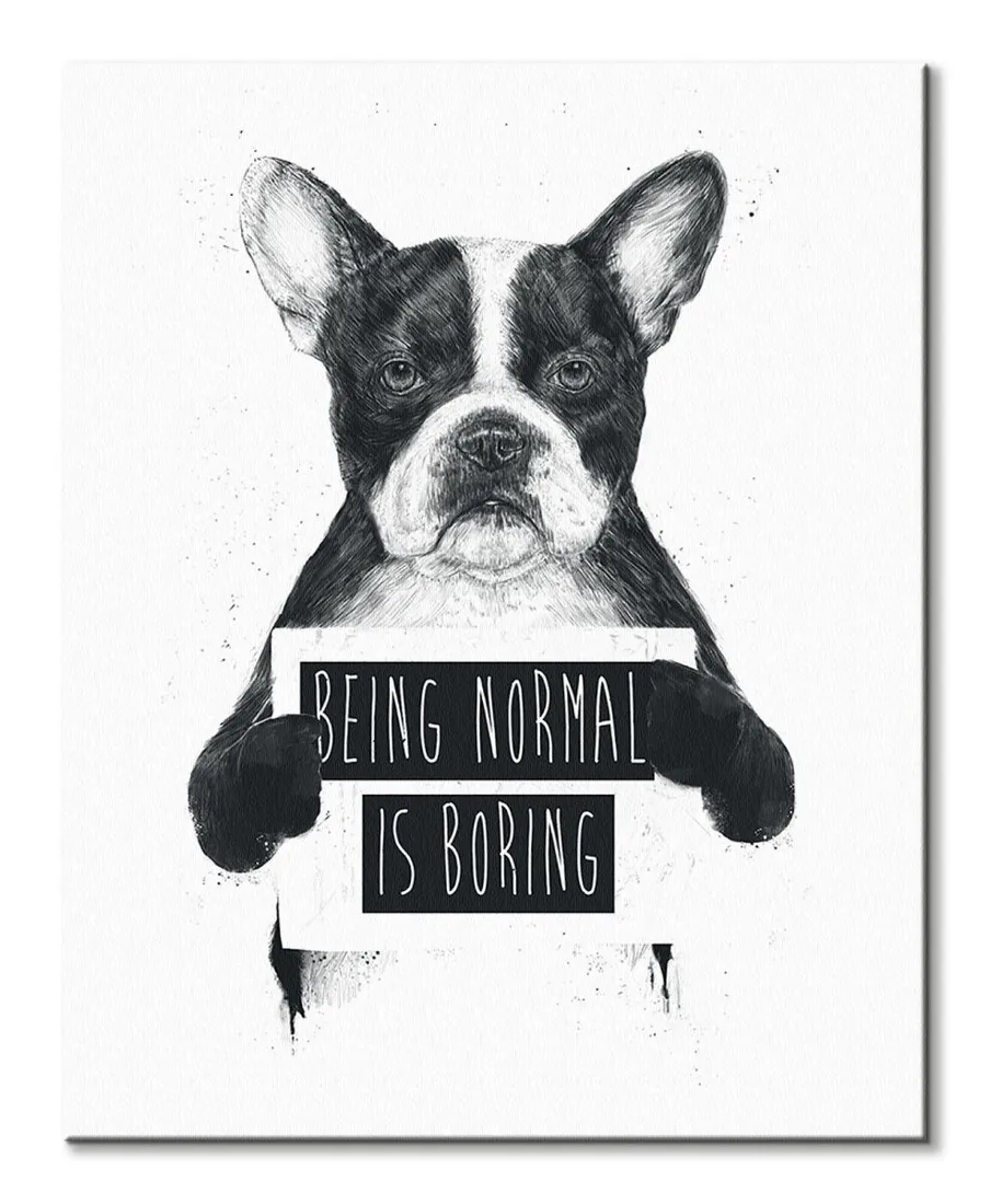 being-normal-is-boring-obraz-na-plotnie-40x50-cm