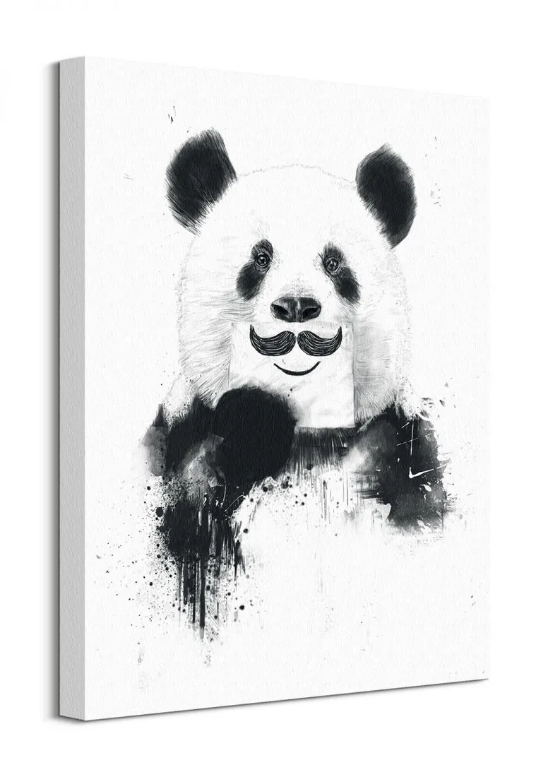 funny-panda-obraz-na-plotnie-40x50-cm