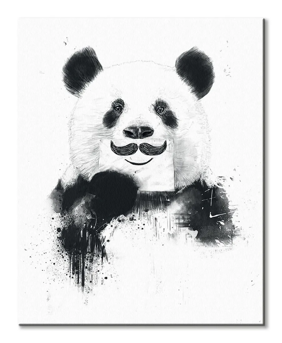 funny-panda-obraz-na-plotnie-40x50-cm