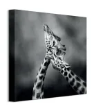 neck-loving-obraz-na-plotnie-40x40-cm