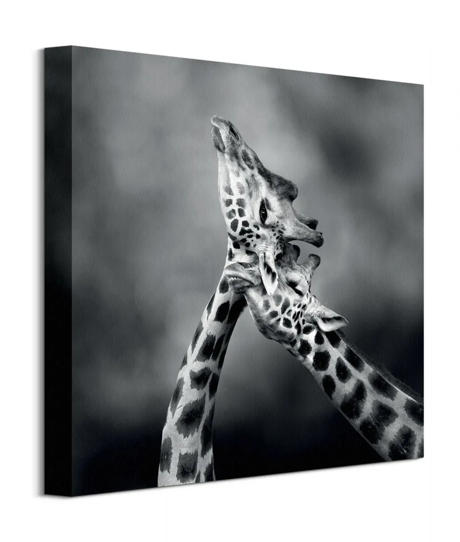neck-loving-obraz-na-plotnie-40x40-cm