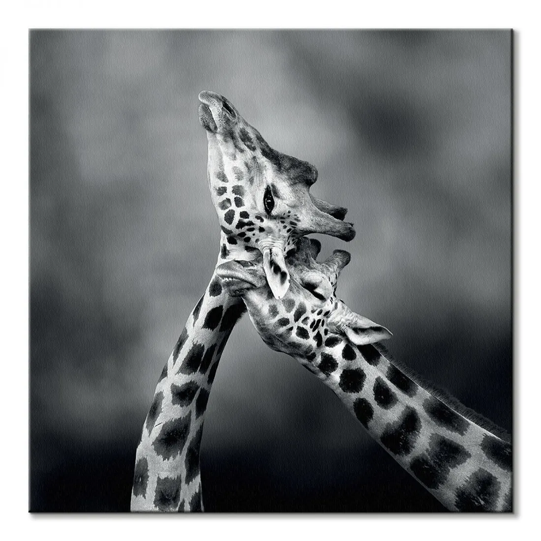 neck-loving-obraz-na-plotnie-40x40-cm