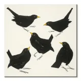 blackbirds-obraz-na-plotnie-40x40-cm-stan-nowy