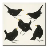 blackbirds-obraz-na-plotnie-30x30-cm-stan-nowy