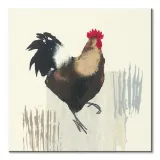 cockerel-obraz-na-plotnie-30x30-cm-stan-nowy