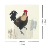 cockerel-obraz-na-plotnie-30x30-cm-stan-nowy