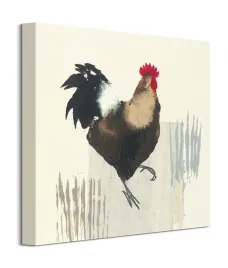 cockerel-obraz-na-plotnie-40x40-cm