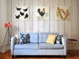 cockerel-obraz-na-plotnie-40x40-cm-stan-nowy
