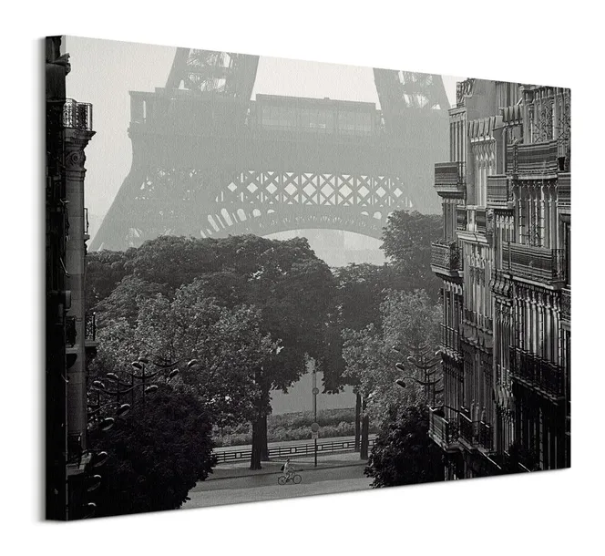 eiffel-tower-paris-obraz-na-plotnie-50x40-cm