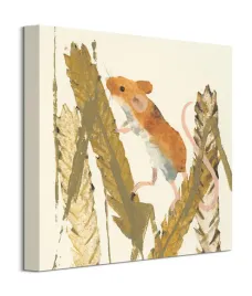 harvest-mouse-obraz-na-plotnie-40x40-cm