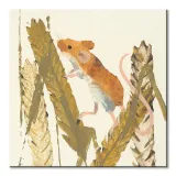 harvest-mouse-obraz-na-plotnie-40x40-cm-stan-nowy