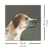 humphrey-obraz-na-plotnie-30x30-cm-stan-nowy