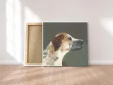 humphrey-obraz-na-plotnie-30x30-cm-stan-nowy