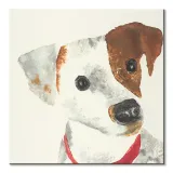 mischief-obraz-na-plotnie-30x30-cm-stan-nowy
