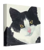 nosey-obraz-na-plotnie-30x30-cm