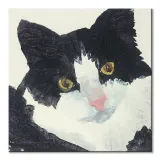 nosey-obraz-na-plotnie-30x30-cm-stan-nowy
