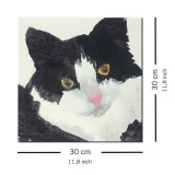 nosey-obraz-na-plotnie-30x30-cm-stan-nowy