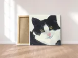 nosey-obraz-na-plotnie-30x30-cm-stan-nowy