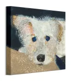 oscar-obraz-na-plotnie-30x30-cm