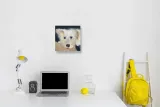 oscar-obraz-na-plotnie-30x30-cm-stan-nowy