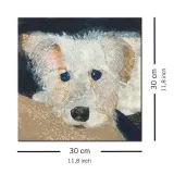 oscar-obraz-na-plotnie-30x30-cm-stan-nowy