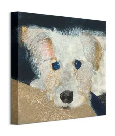 oscar-obraz-na-plotnie-40x40-cm