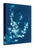 bougainvillea-obraz-na-plotnie-30x40-cm