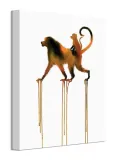 baboons-obraz-na-plotnie-30x40-cm