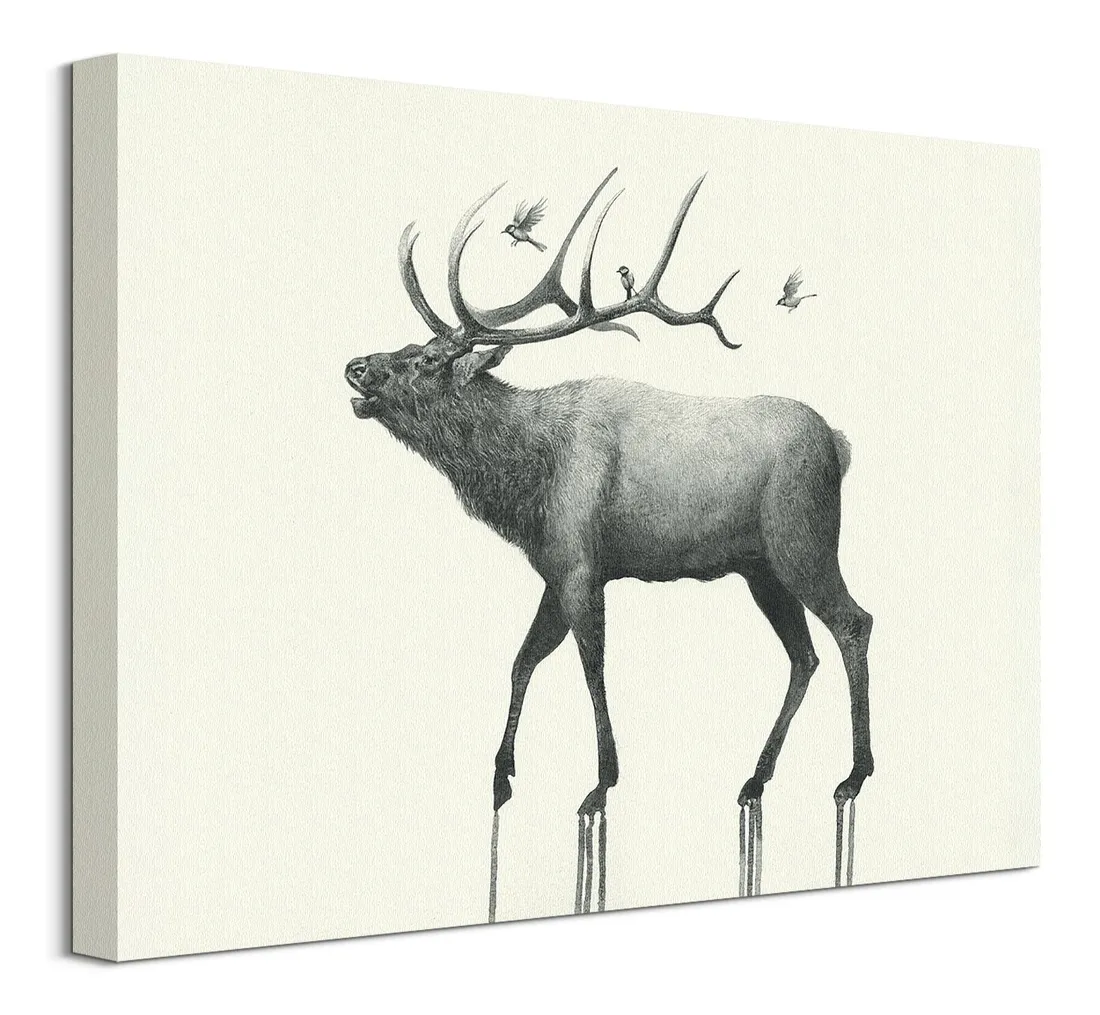 calling-elk-obraz-na-plotnie-40x30-cm