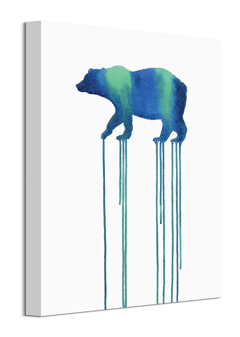 cosmic-bear-obraz-na-plotnie-30x40-cm