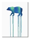 cosmic-bear-obraz-na-plotnie-30x40-cm-stan-nowy