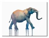 elephant-walk-obraz-na-plotnie-40x30-cm-stan-nowy