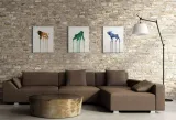 lions-obraz-na-plotnie-30x40-cm-stan-nowy