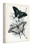 butterflies-i-obraz-na-plotnie-30x40-cm