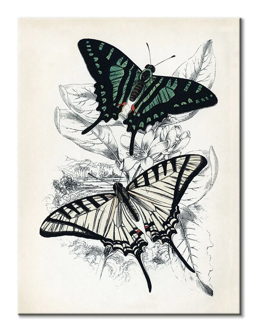 butterflies-i-obraz-na-plotnie-30x40-cm