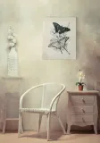 butterflies-i-obraz-na-plotnie-30x40-cm-stan-nowy